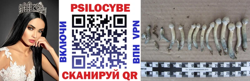 Галлюциногенные грибы ЛСД Билибино